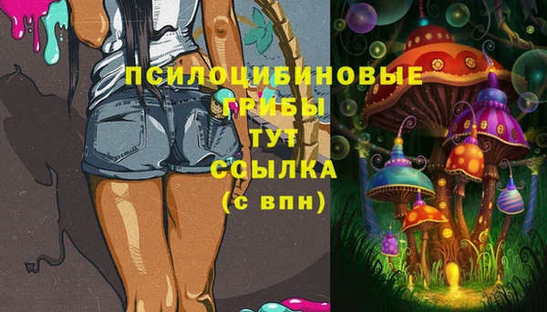 соль ск Алзамай