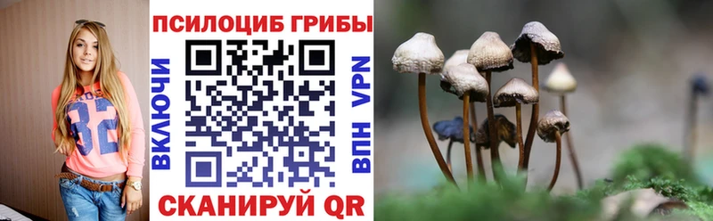 площадка наркотические препараты  Тогучин  Псилоцибиновые грибы Magic Shrooms 